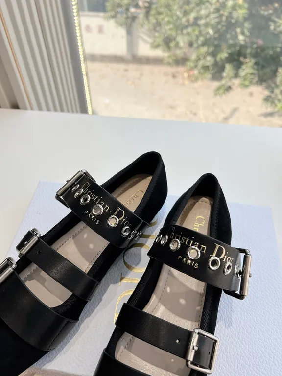 Dior Shoe 